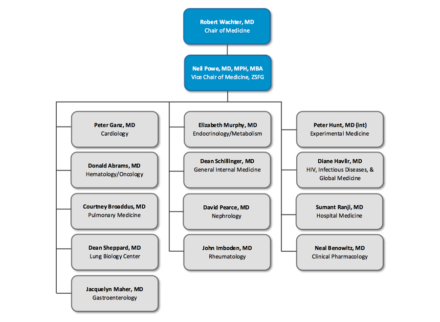 ZSFG DOM Org chart